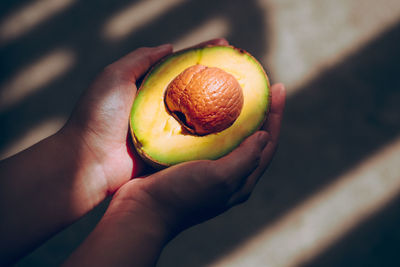 Close-up of hand holding avocado 