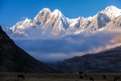 Scenic view of snowcapped mountains against sky