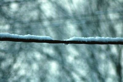 Close-up of snow against sky