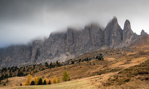 Landscape with mountain range in background