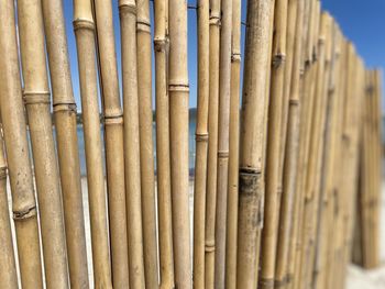 Detail shot of bamboo fence