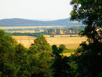 Scenic view of landscape