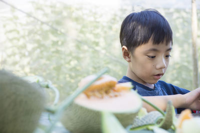 Close-up of boy by muskmelons outdoors