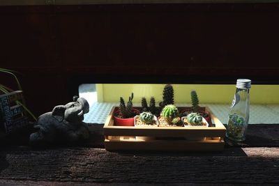 View of small fish on table