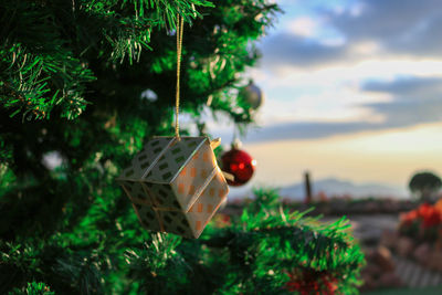 Close-up of christmas tree against sky