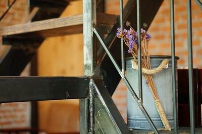 Close-up of flowering plant in vase