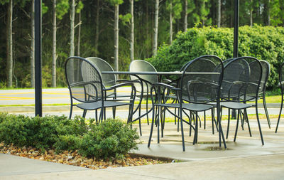Empty chairs and table against trees in forest