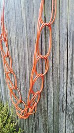 Close-up of rope hanging on wooden wall