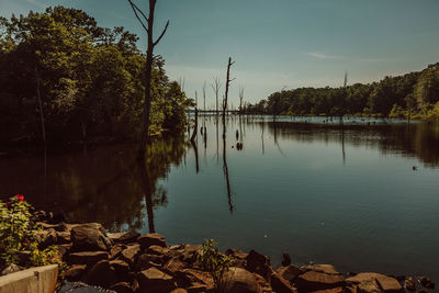 Scenic view of lake against sky