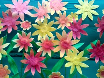 High angle view of pink flowering plants