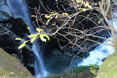 Scenic view of waterfall