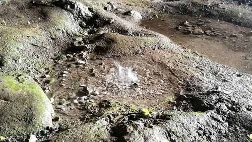 High angle view of water flowing through rocks