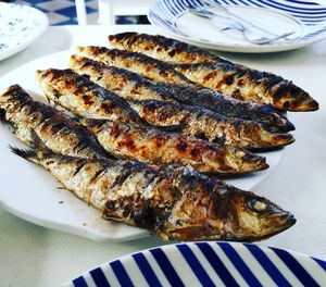 High angle view of fish on plate