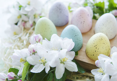 Happy easter, eco concept. easter eggs in wooden tray on green wooden background