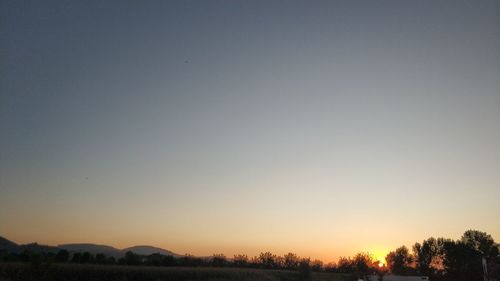 Scenic view of silhouette trees against clear sky during sunset