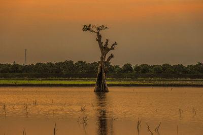 Scenic view of lake against sky at sunset