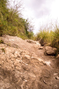 Scenic view of land against sky