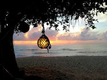 Silhouette trees on beach against sky during sunset