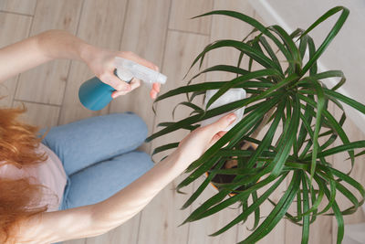 Midsection of woman holding plant at home