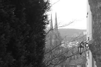 Trees and buildings in city