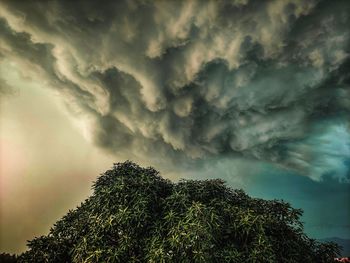 Low angle view of tree against cloudy sky