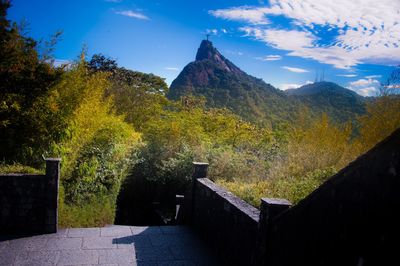 Panoramic view of trees and buildings against sky