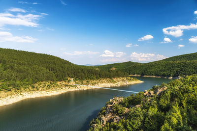 Scenic view of river amidst trees against sky