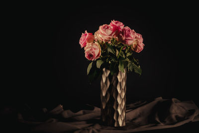 Close-up of pink rose against black background