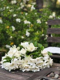 Close-up of white flowers on table