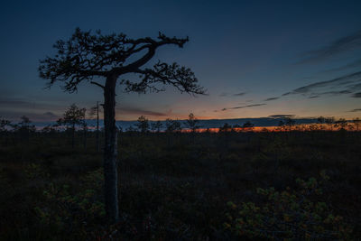 Scenic view of field against sky during sunset