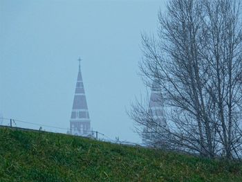 Trees on grassy landscape against cloudy sky