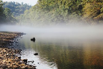 Just below tim's ford dam here in tennessee.