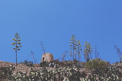 Low angle view of built structure against clear blue sky
