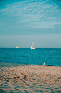 Sailboat sailing on sea against sky