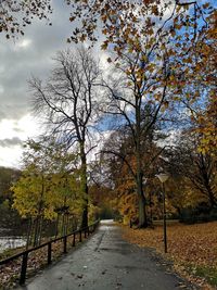 Road amidst trees against sky during autumn