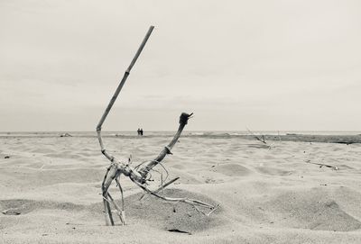Driftwood on beach against sky