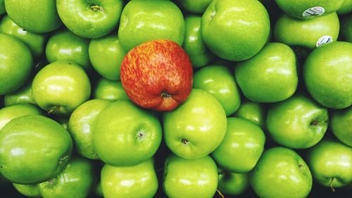 Full frame shot of oranges