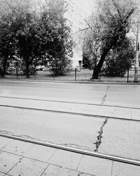 Trees by footpath in city