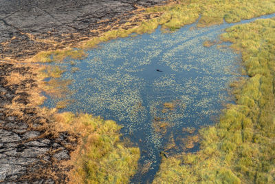 High angle view of a lake