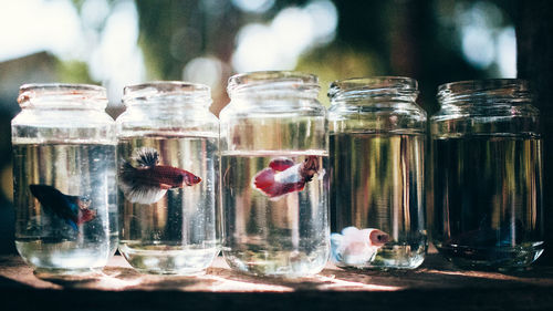 Close-up of glass jar on table