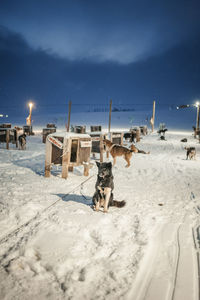 People on snow covered landscape