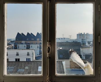 View of buildings seen through glass window