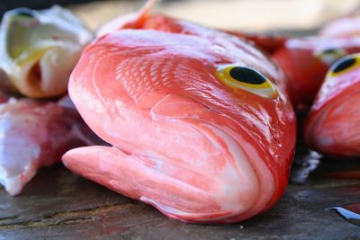 Close-up of fish for sale in market