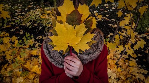 Close-up of woman with yellow maple leaves during autumn