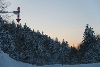 Trees against sky during winter