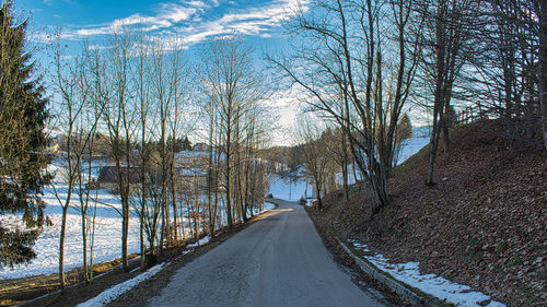 Road amidst trees in forest