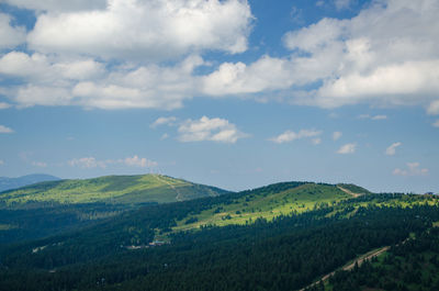 Hills covered with conifer trees and blue summer sky with white clouds