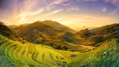 Scenic view of agricultural field against sky during sunset