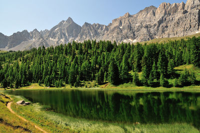 Scenic view of pine trees by lake against sky