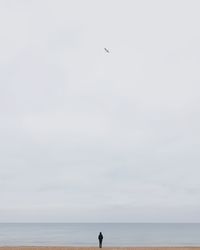 Rear view of person standing at beach